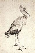 Albrecht Durer The Stork oil painting artist